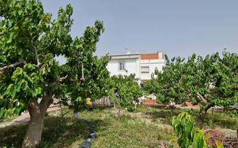 venta finca rustica lobres camino del canal bajo