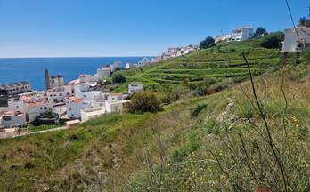 156 terrenos y fincas en venta velez de benaudalla