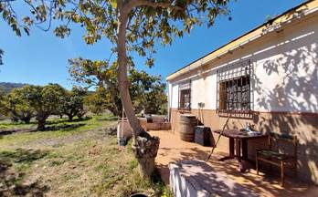 147 terrenos y fincas en venta salobreña