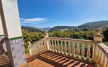 venta finca rustica salobreña los palmares