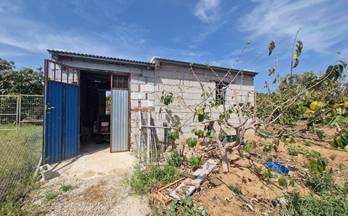 venta finca rustica salobreña los palmares