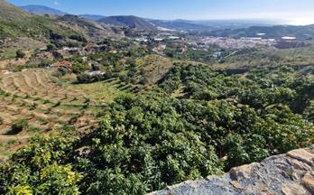 venta terrenos solares molvizar los viñazos