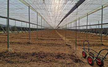 venta finca rustica molvizar los palmares