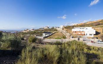 121 terrenos y fincas en venta belicena