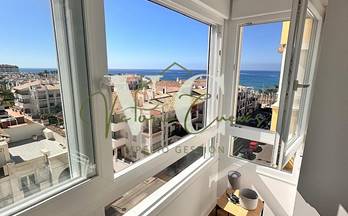 101 pisos en alquiler torre del mar