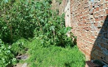 260 terrenos y fincas en venta malaga provincia