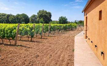 106 terrenos y fincas en venta costitx