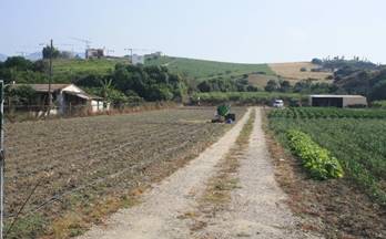 29 terrenos y fincas en venta estepona