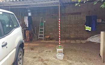 1 terrenos y fincas en venta aliseda