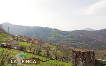 26 terrenos y fincas en venta olloniego