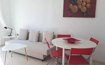 alquiler apartamento vicar la envia golf