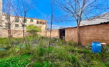 29 terrenos y fincas en venta llucmajor