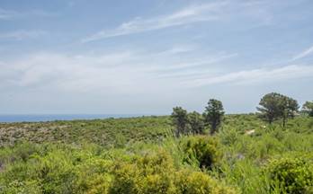 213 terrenos y fincas en venta benidoleig