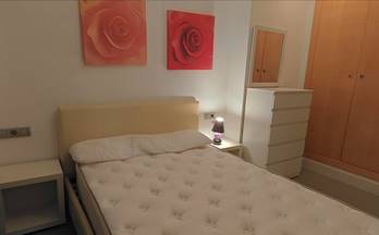 alquiler apartamento armilla campus salud