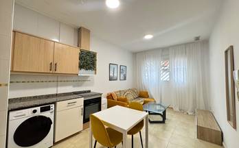 253 pisos en venta palma de gandia