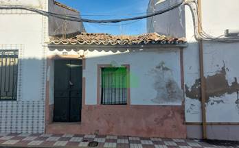 venta chalet independiente lobon 