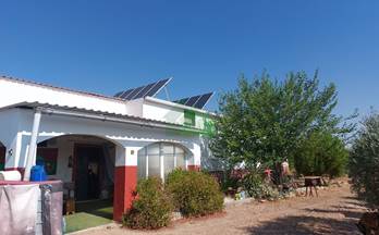 venta chalet montijo 