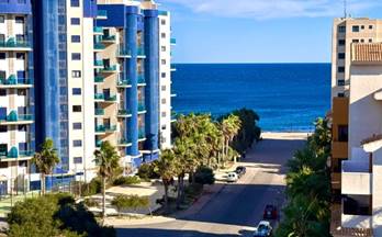 288 pisos en venta torre de la horadada