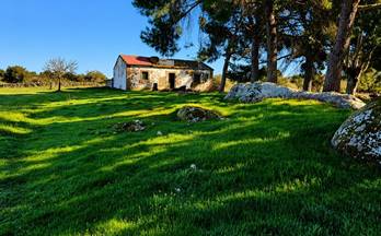 2 terrenos y fincas en venta torreorgaz