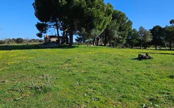 venta terrenos solares aldea del cano carretera aldea del cano-albal