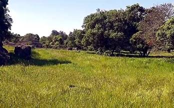 venta terrenos solares aldea del cano alrededores