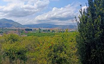 venta terrenos solares pego 