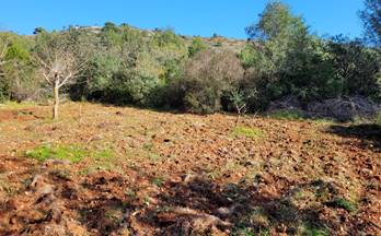 202 terrenos y fincas en venta beniarbeig