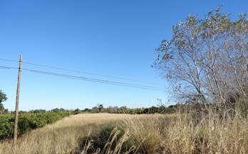 venta terrenos solares el verger rustica