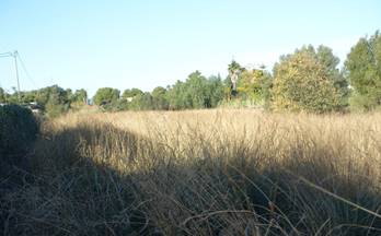 183 terrenos y fincas en venta la xara