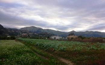 venta terrenos solares pego por definir