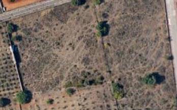 213 terrenos y fincas en venta benidoleig