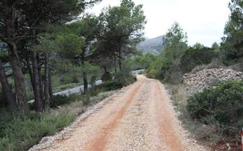 venta terrenos solares jalon xalo 