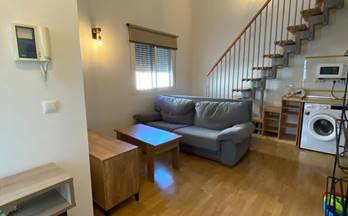 alquiler piso dos hermanas 