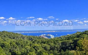 venta terrenos solares palma de mallorca ponent