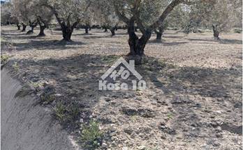 TERRENOS SOLARES en venta Resto Provincia bañeres