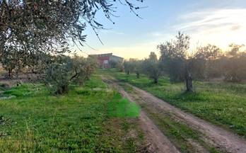 27 casas en venta lobon