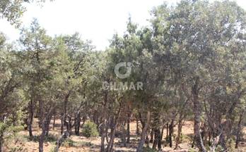 42 terrenos y fincas en venta burgos