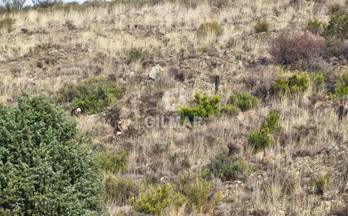 2 terrenos y fincas en venta calatayud