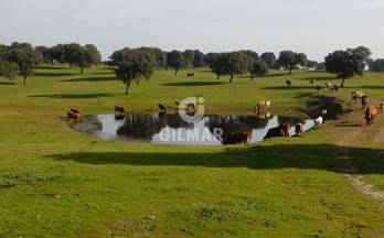 venta finca rustica caceres 