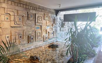 venta piso madrid capital chamartin