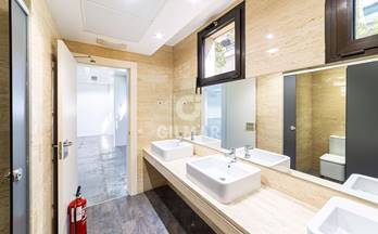 alquiler oficina madrid capital ciudad lineal