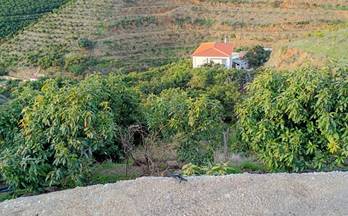 casas en venta torrox