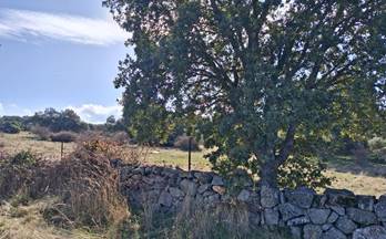 9 terrenos y fincas en venta navas de san antonio