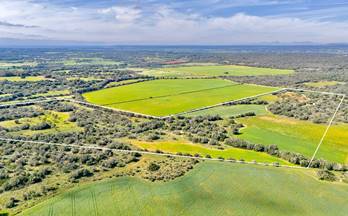 11 terrenos y fincas en venta cala d´or