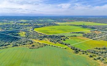 21 terrenos y fincas en venta santanyi