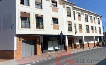 234 pisos en venta granada provincia