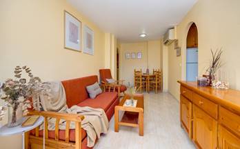 491 pisos en venta en torrevieja con piscina