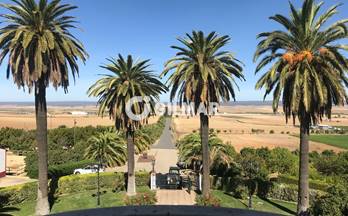 38 casas en venta chucena