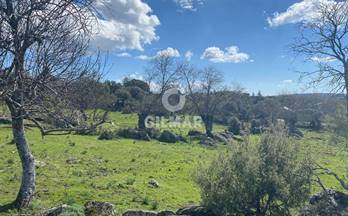 venta terrenos solares galapagar galapagar