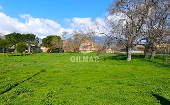 11 terrenos y fincas en venta soto del real